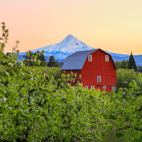 A red barn sits amidst lush green trees with a snow-capped mountain in the background under a serene, pastel-colored sky.
