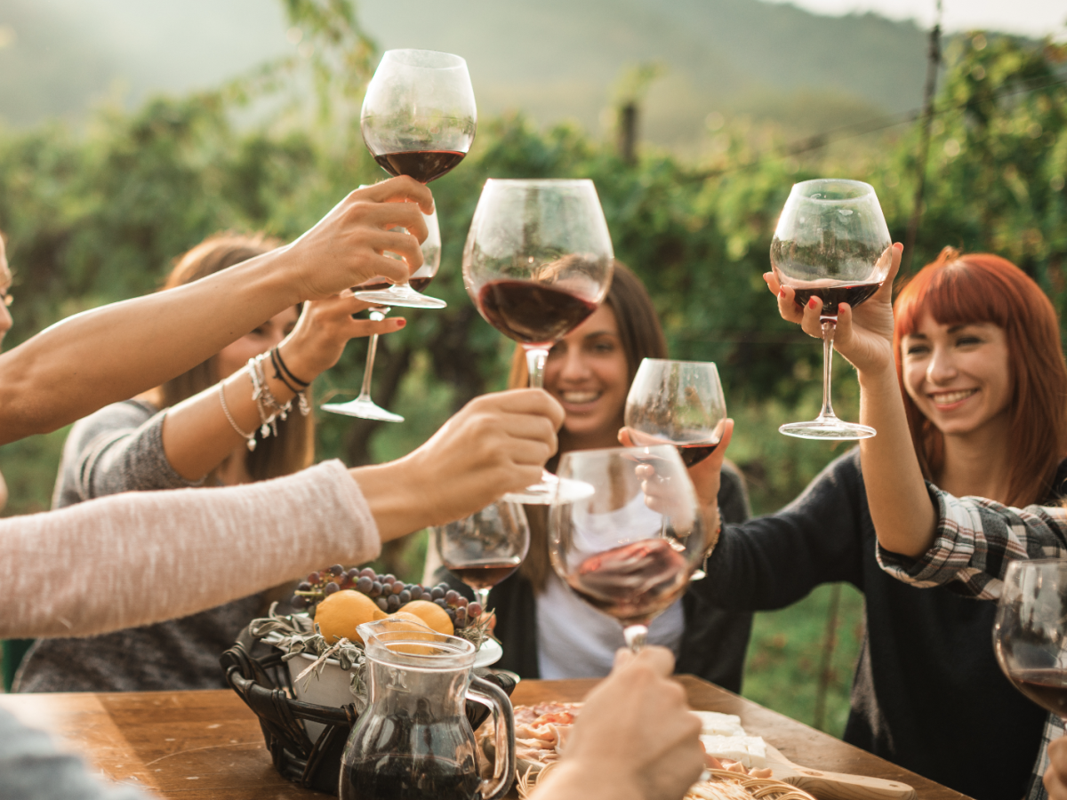 A group of people is toasting with wine glasses outside, around a table with snacks, in a vineyard setting.
