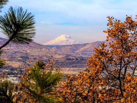 A snow-capped mountain is visible through autumn trees, overlooking a valley and town under a blue sky.