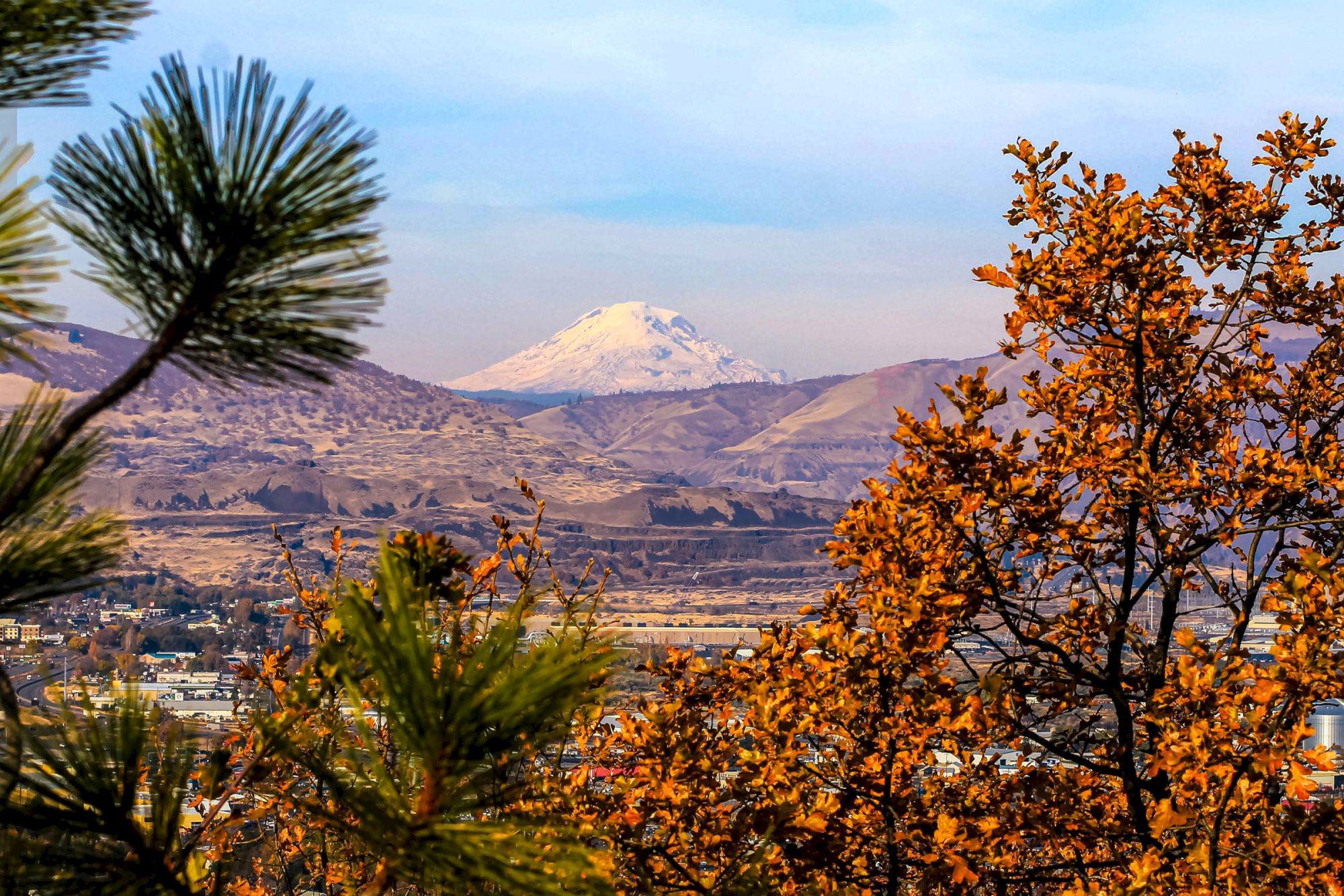 An autumn mountainscape with orange trees in the foreground and a snow-capped volcano over a valley town in the distance.